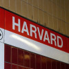 ハーバード大学