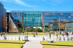 教育　語学　文化